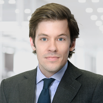 professional image